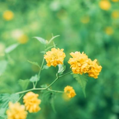 孩子去哪野了2手游下载